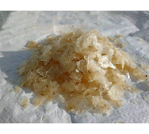 Image hover effect image