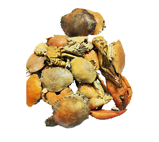 Image hover effect image