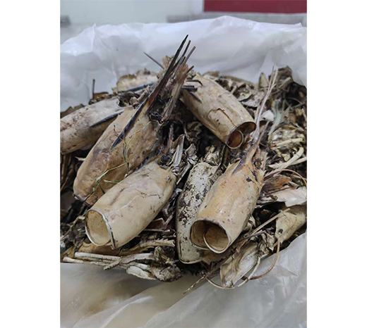 Image hover effect image