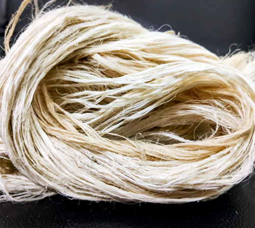 Image hover effect image